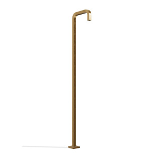 Излив Treemme Brushed Gold