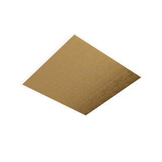 Treemme Верхний душ Brushed Gold
