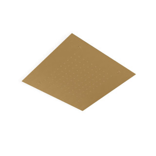 Верхний душ Treemme Brushed Gold 43x43 см