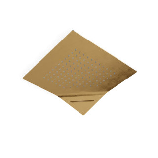 Верхний душ Treemme Brushed Gold