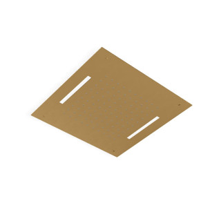 Верхний душ Treemme Brushed Gold