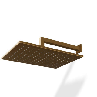 Верхний душ Treemme Arche 36x26 см