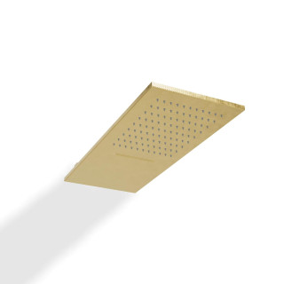 Treemme IOS Верхний душ Brushed Brass