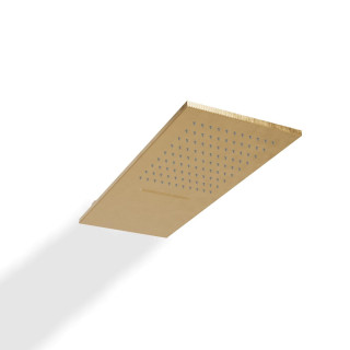 Верхний душ Treemme IOS Brushed Gold