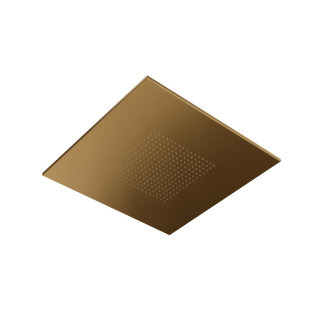 Верхний душ Treemme Brushed Gold