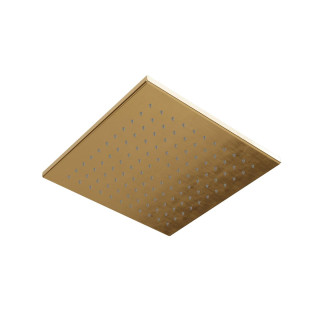 Верхний душ Treemme Brushed Gold
